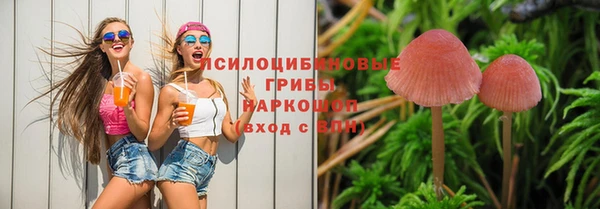 сатива Верхнеуральск