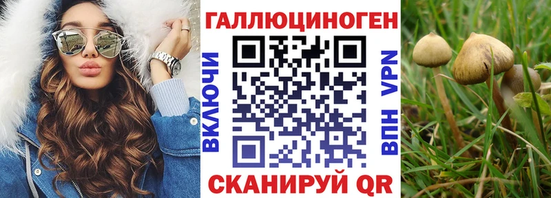 Галлюциногенные грибы прущие грибы  Неман 